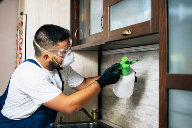 Best Local Pest Control Services  in Morris, MN