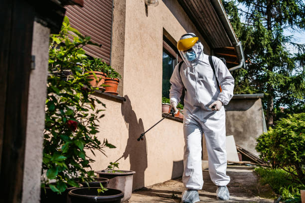 Best Bed Bug Extermination  in Morris, MN