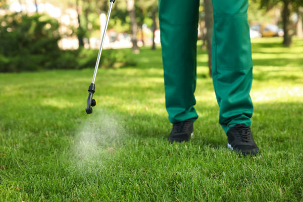 Flea Control Services in Morris, MN