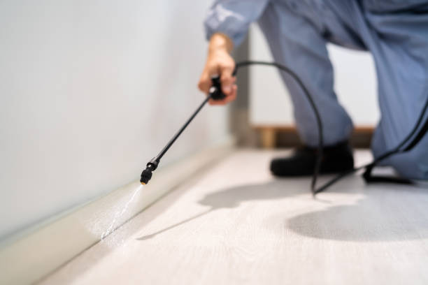 Pest Control Cost in Morris, MN