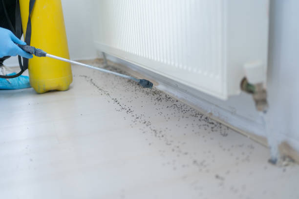 Best Pest Control Cost  in Morris, MN
