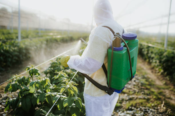Best Best Pest Control Companies  in Morris, MN